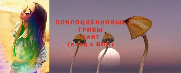 сатива Беломорск