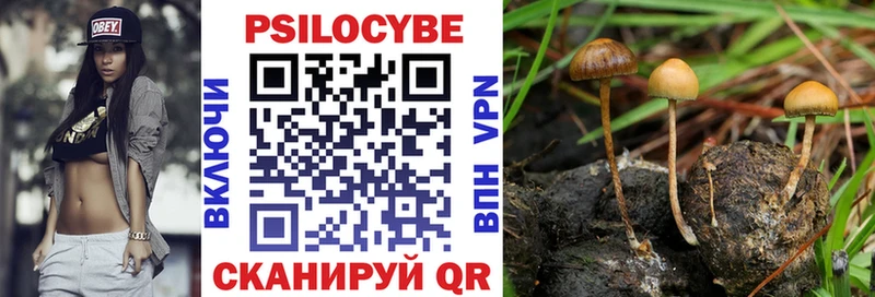Купить  Сафоново  Галлюциногенные грибы MAGIC MUSHROOMS 